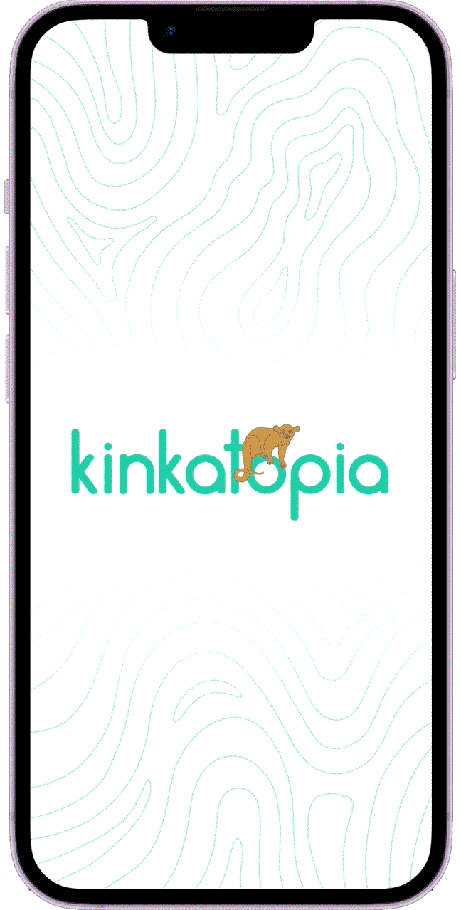 Kinkavideoweb2